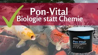 Pon-Vital: Biologie statt Algenvernichter für den Teich