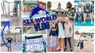 SEA WORLD VLOG || FUN THEME PARK RIDES & ATTRACTIONS FOR KIDS | GOLD COAST AUSTRALIA || JESS & TRIBE