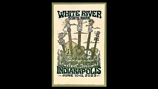 Billy Strings Live at The Lawn at White River State Park on 2023-06-11