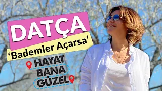 Şenay Akkurt ile Hayat Bana Güzel - Datça Badem Çiçeği Festivali - Datça Rehberi