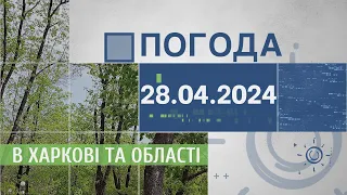 Прогноз погоди в Харкові та Харківській області на 28 квітня