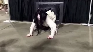 The Ring Girl Climbs Out of TV Phoenix Fan Fest Cosplay 2015