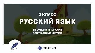 Русский язык | 2 класс | Звонкие и глухие согласные звуки | Урок 15 | Знанио