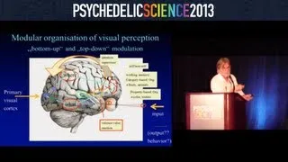 Neurobiology of Psychedelics: Implication for Mood Disorders - Franz Vollenweider