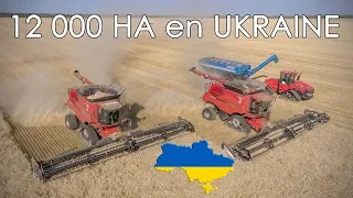 🇺🇦 MOISSON XXL en UKRAINE sur 12 000 ha chez AGRO KMR | CTF 😲