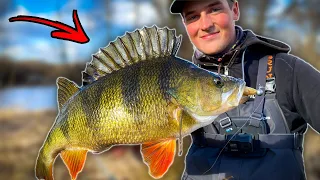 First Time Fishing in CLOSED RIVER (INSANE FISHING) | Team Galant