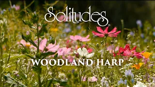 Dan Gibson’s Solitudes - A Wave of Wildflowers | Woodland Harp