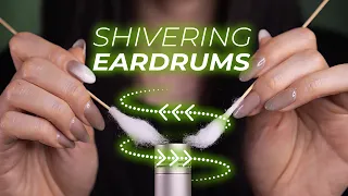 ASMR Make Your Eardrums Shiver |  Fast Panning Warning (No Talking)