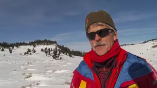 Retiring Yellowstone biologist reflects on wolf management in the park
