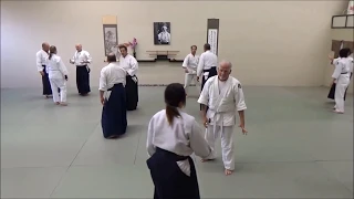 Aikido Seminar: TOITSUTAI - Unified Body (Part 3)