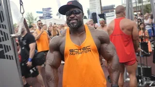 Scitec Muscle Beach 2019 - A nyolcadik!