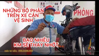 HƯỚNG DẪN NHỮNG BỘ PHẬN NÀO TRÊN XE CẦN VỆ SINH ĐỊNH KỲ, XE CHẠY BAO NHIÊU KM SẼ THAY NHỚT 1 LẦN