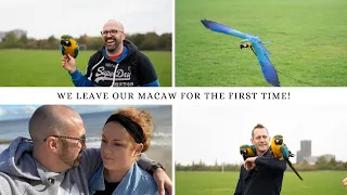 WE LEFT OUR BABY MACAW FOR THE FIRST TIME | HOLIDAY VLOG PART 2 | SHELBY THE MACAW
