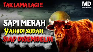 TAK LAMA LAGI❗"SAPI MERAH YAHUDI SUDAH SIAP UNTUK DISEMBELIH" | Ustaz Zulkifli