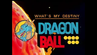 WHAT'S MY DESTINY DRAGON BALL (Dragon Ball Z) - videosigla full - GIORGIO VANNI