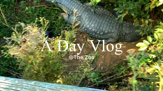 DAY VLOG|spend the day with us at The Johannesburg Zoo|Fun|Animals|SA YouTube