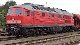 Die Traditions Ludmilla 232.618-9 von DB Cargo