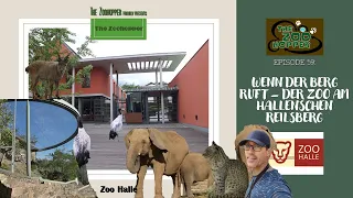 Zoohopper-TV Episode 59 (Zoo Halle)