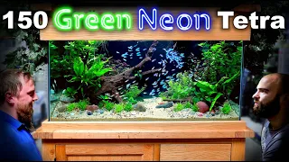 The Green Neon Tank: 150 Fish in EPIC 1st Shop Aquarium Build (Aquascape Tutorial)