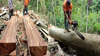 Dig up quite beautiful wood, split large logs with a chainsaw