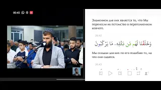 @Rizgar Kurdy Ризгар Курди, Сура Ясин со смысловым переводом. ПОРАЗМЫСЛИ НАД ЭТИМИ АЯТАМИ!!!