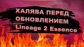 Сделай это до обновления 2 августа в Lineage 2 Essence