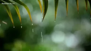 You & Me ^^ Relaxing Piano Music & Soft Rain Sounds For Sleep & Relaxation 1