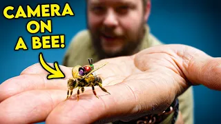 How we put a Camera on a Bee