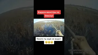 Карась на блесну. Ты такого не видел. #рыбалка #карась #short  #shorts #fishing