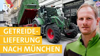 Mit dem Getreide-Anhänger nach München! #11 | Mega Baustelle: Ein Bauernhof zieht um | Unser Land