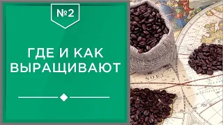 Где и как выращивают кофе ☕