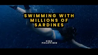 Epic swim with MILLIONS of Sardines - Cebu Philippines