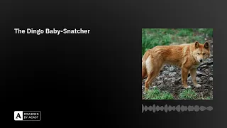 The Dingo Baby-Snatcher