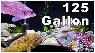 125 Gallon Aquarium Pros and Cons: Are They Worth It?