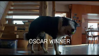 the dog from anatomy of a fall serving acting