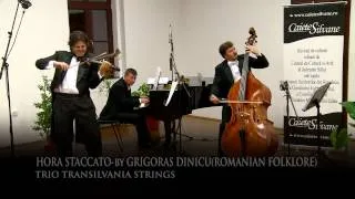 HORA STACCATO-by GRIGORAS DINICU.mp4