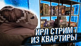 HELLYEAHPLAY ПРОВОДИТ ИРЛ СТРИМ ИЗ КВАРТИРЫ