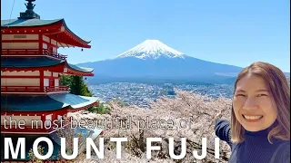 YAMANASHI🇯🇵 Day trip to Fujiyoshida & Arakurayama Sengen Park🌸 Mt.Fuji with Sakura Cherry Blossom