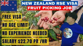 NEW ZEALAND FRUIT PICKER JOBS | VISA SPONSORSHIP | SEASONAL WORK VISA 2023