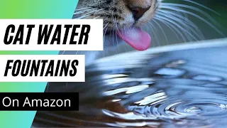 Top 5 best Cat Water fountains on Amazon under $80