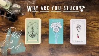 Why Are You Stuck | Pick a Dice | Pick a Card | Dousing Rod Pendulum | Message You Are Meant To Hear