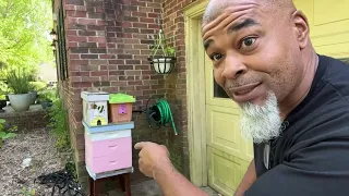How to catch honey bees