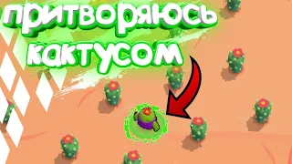 Притворяюсь кактусом Афк Challenge Brawl Stars