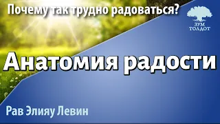 Анатомия радости. Рав Элияу Левин