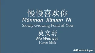 莫文蔚-慢慢喜欢你 歌词拼音英文 Karen Mok-Slowly Growing Fond of You lyrics w/ Pinyin&English translation