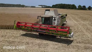 Harvest 2022: Claas Lexion 750TT harvesting OSR.