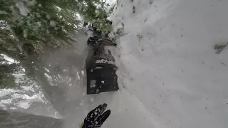 Skidoo 850 in the trees. Tree throttle, forgot teather.