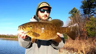 Wachusett Reservoir Smallmouth Bass Fishing - big smallie caught on a jerkbait in central mass (4K)