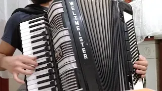 Shota - weltmeister S4 - akordeon - accordion