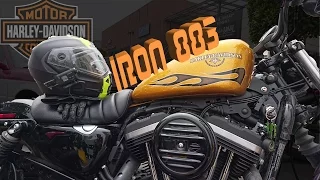 Sportster Iron 883 || JohnRides Review Opinión